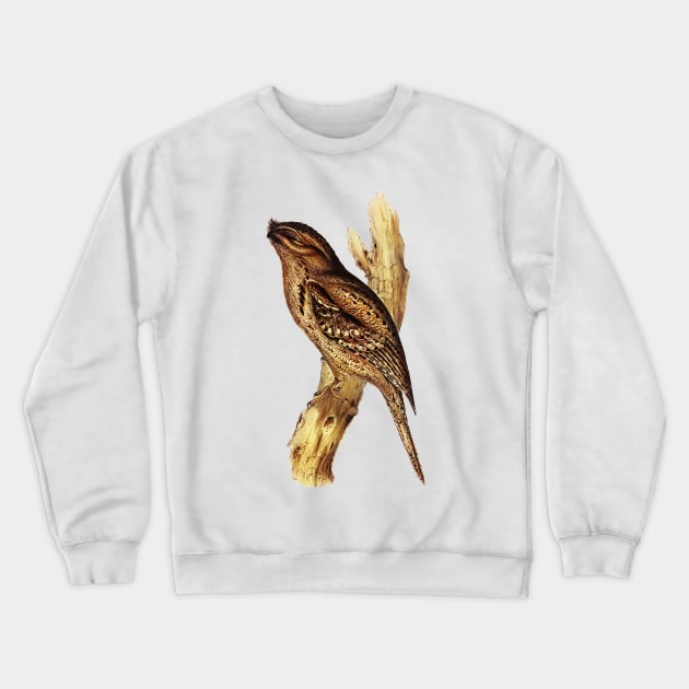 Australian Tawny Frogmouth Bird Illustration Crewneck Sweatshirt by KarwilbeDesigns